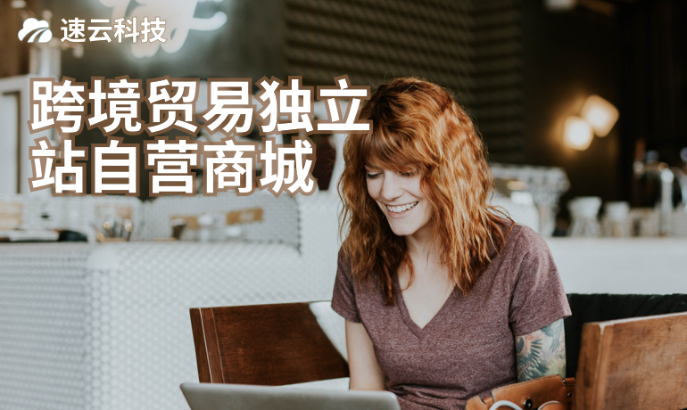 跨境貿易獨立站自營商城